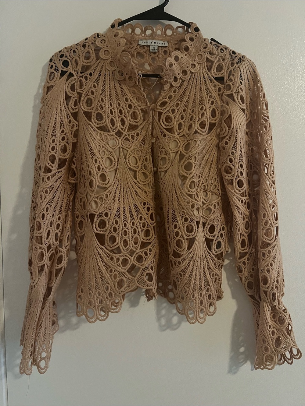 Ladies Beige Lace Crochet Long-Sleeve Top
